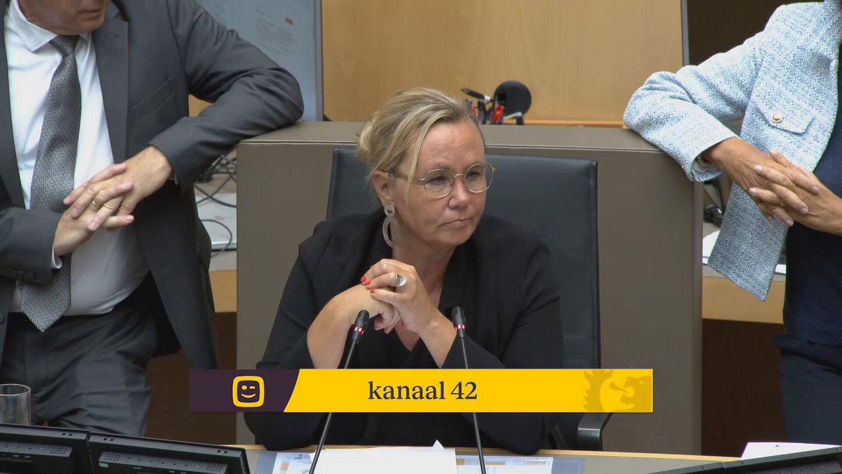 “Liever 5 jaar Liesbeth Homans als voorzitter van het Vlaams Parlement dan een sos!”