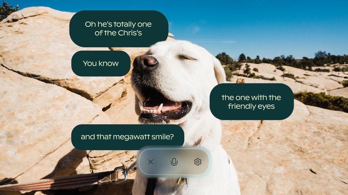 The new Copilot app is like talking to your dog, except what it says back isn't just in your head.