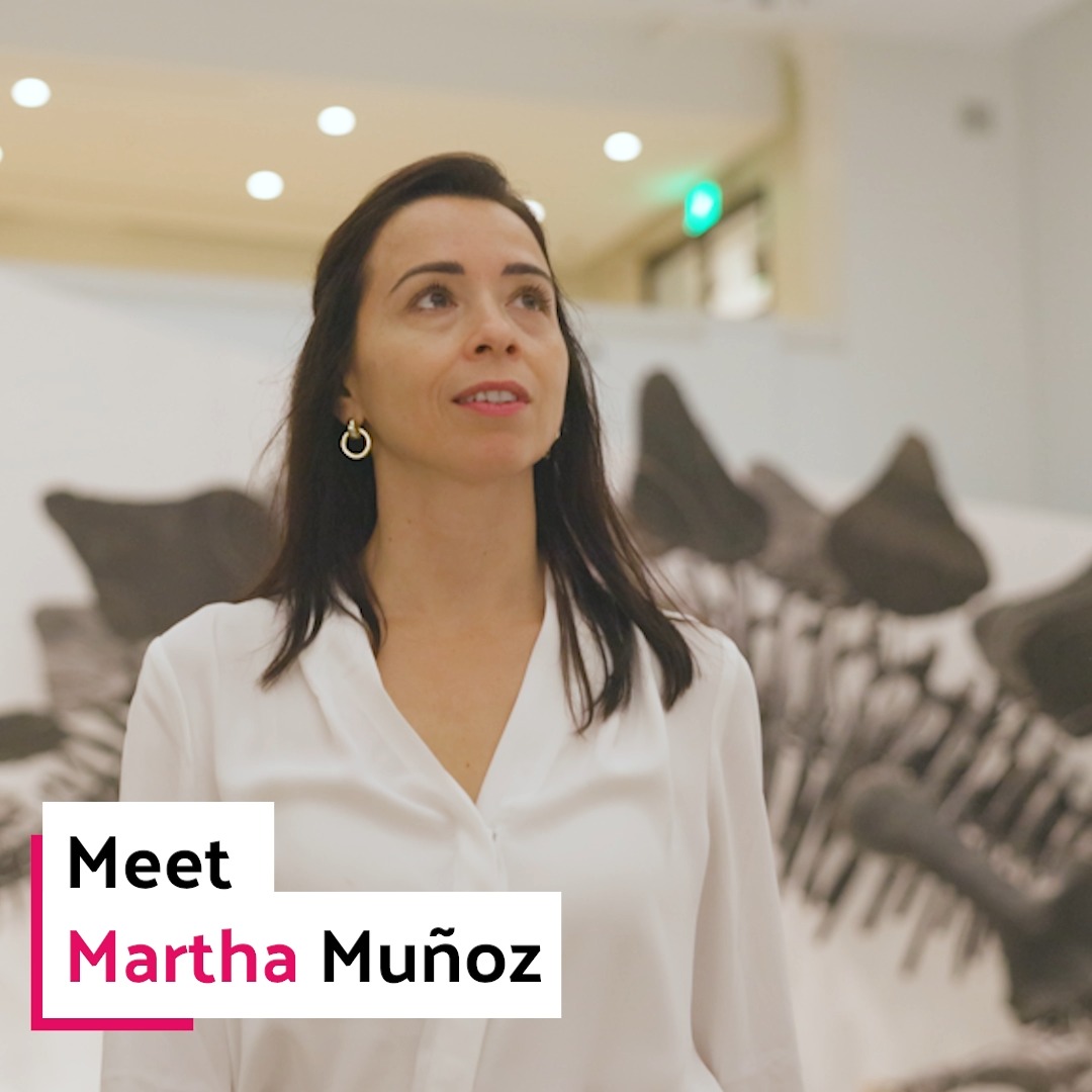 Meet Martha Muñoz (@MunozLabYale), an evolutionary biologist and 2024 #MacFellow exploring the factors that influence rates and patterns of evolution. Learn more about Martha ⬇️