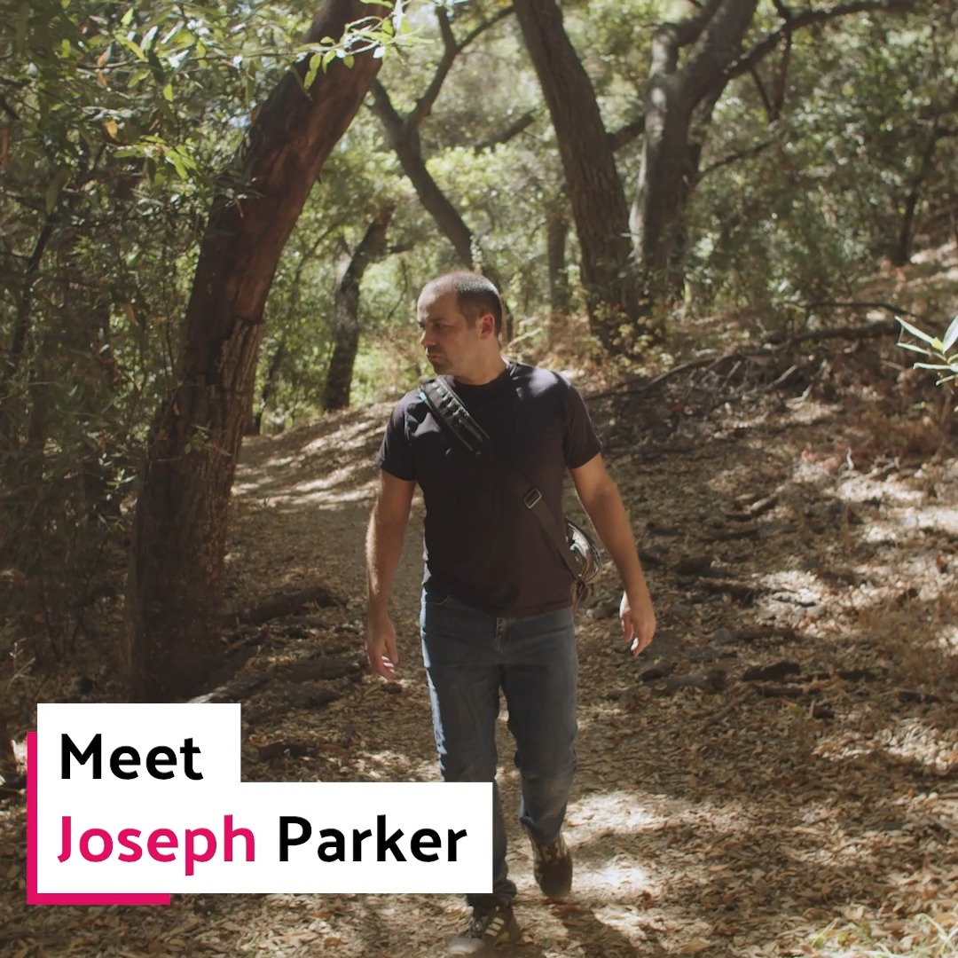 Meet Joseph Parker (@Pselaphinae), an evolutionary biologist and 2024 #MacFellow investigating how certain rove beetles have evolved to coexist symbiotically with, and within, ant communities. Learn more about Joseph ⬇️