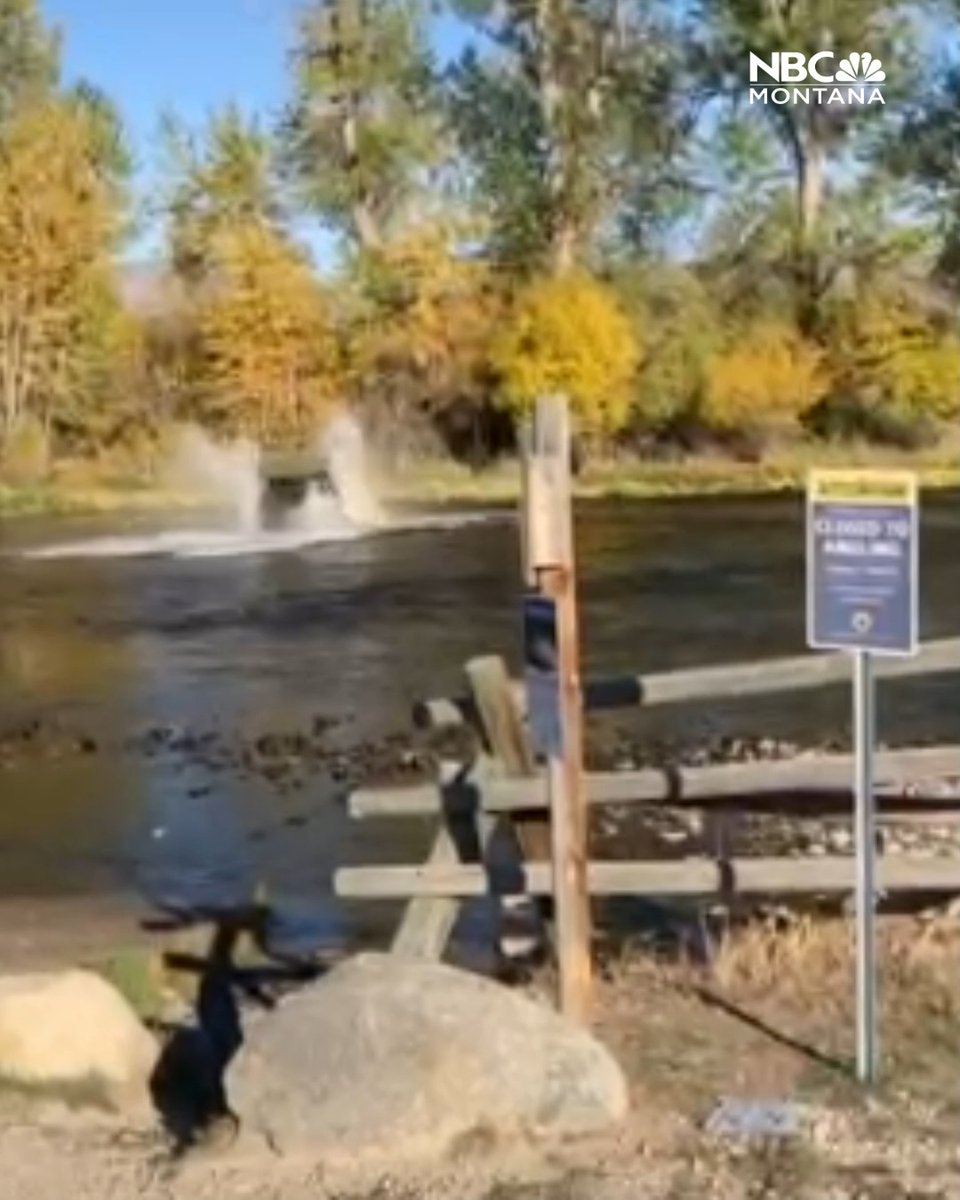 INVESTIGATION: Montana Fish, Wildlife, and Parks is investigating an incident after at least two side-by-sides drove through the Big Hole River where brown trout are known to spawn. FWP says they looking into violations. More info: