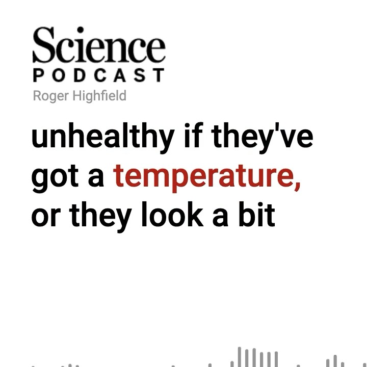 In the fifth installment of the #SciencePodcast🎙️ series on books that look to an optimistic future, host Angela Saini talks with Peter Coveney and Roger Highfield on the future of “digital twins”—personalized virtual models that may one day help predict an individual’s risk for disease and response to therapeutics. 🎧 Listen here: