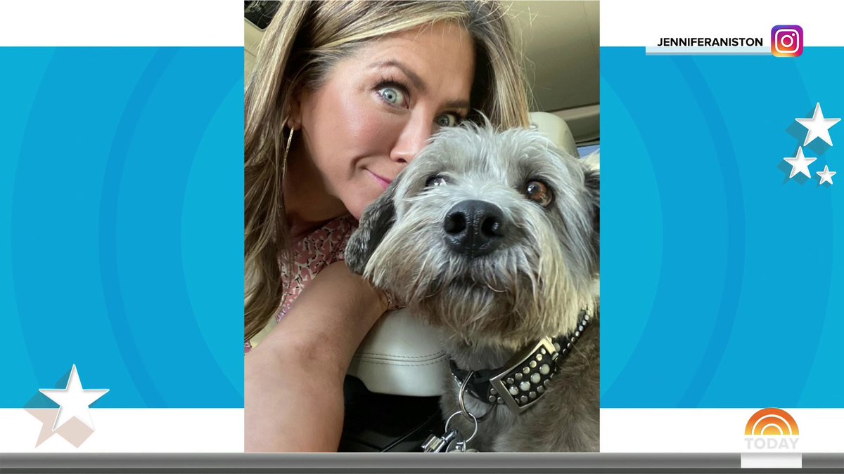 Jennifer Aniston has released a children’s book called “Clydeo Takes a Bite Out of Life” inspired by her own rescue dog that talks of self-discovery and self-confidence!