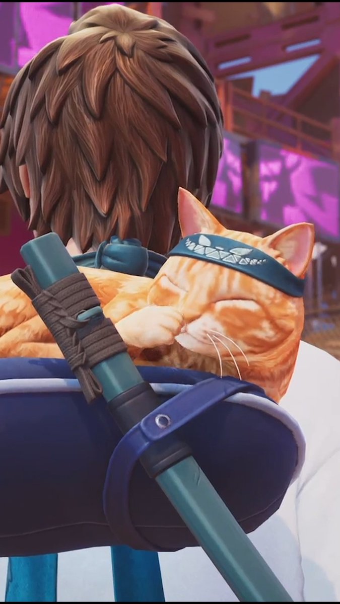 Ellos: ¿Qué tan adorable es del 1 al 10? Yo: Sí ¿Ya tienes en tu casillero a este tierno y suave gatito?