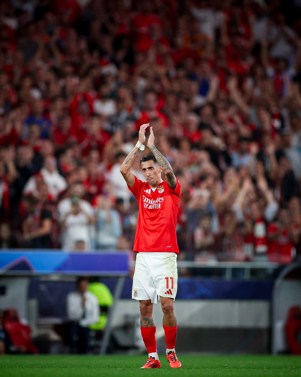 🥹 𝑸𝒖𝒆 𝒂𝒎𝒃𝒊𝒆𝒏𝒕𝒆 𝒏𝒂 𝑪𝒂𝒕𝒆𝒅𝒓𝒂𝒍! Obrigado, Benfiquistas 🫶 #SLBATM • #UCL