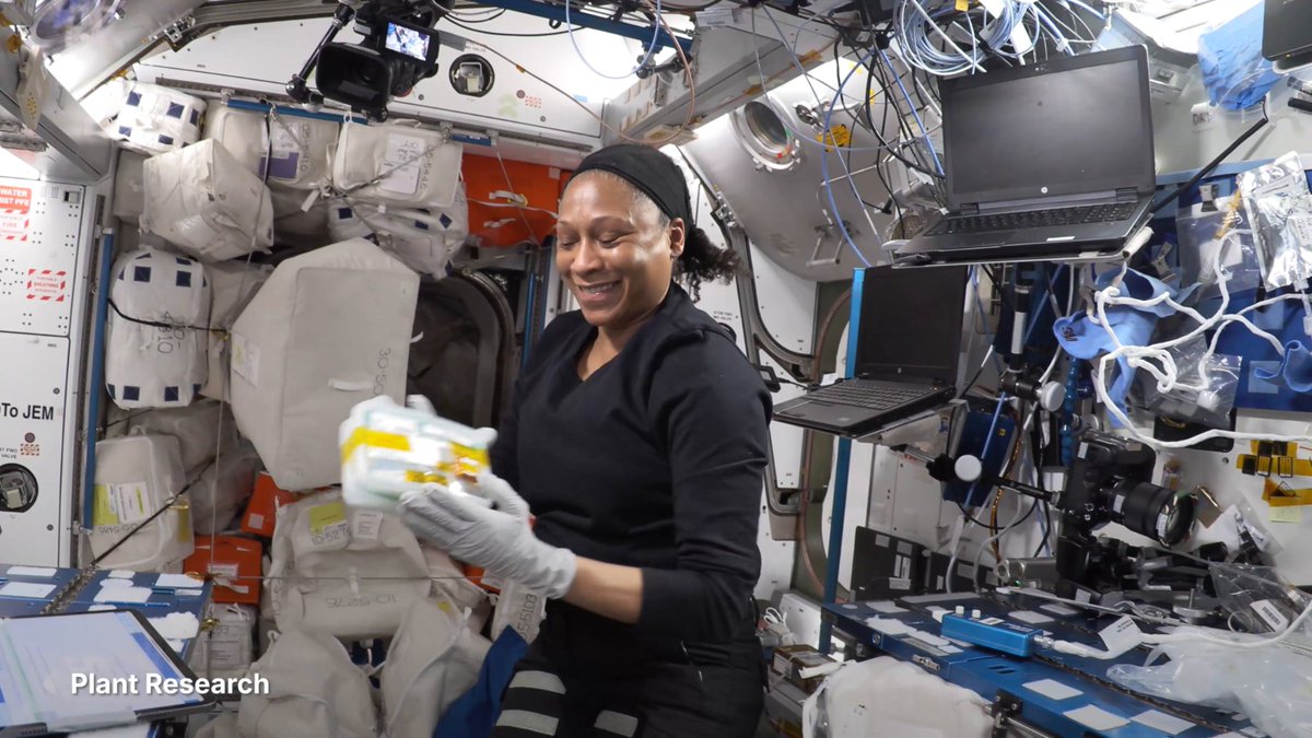 Studying antibiotic-resistant bacteria? Launching small satellites? That's part of life on the International Space Station. Learn how the ISS_Research of #Crew8 could improve life in space and on Earth: