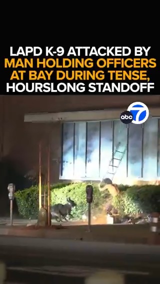 A scary scene in Reseda as a man with a knife holds officers at bay before turning his attention to their dog. The suspect swings a ladder at an LAPD K-9, nearly striking the dog. How police finally nabbed the suspect after an hourslong standoff. This morning at 6 from ABC7.