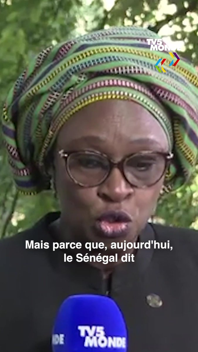 Au XIXe sommet de la Francophonie à Villers-Cotterêts, la ministre sénégalaise de l'Intégration africaine et des Affaires étrangères, Mme Yassine Fall, estime que la Francophonie ne devrait pas défendre une ligne politique en raison des intérêts divergents de ses membres.