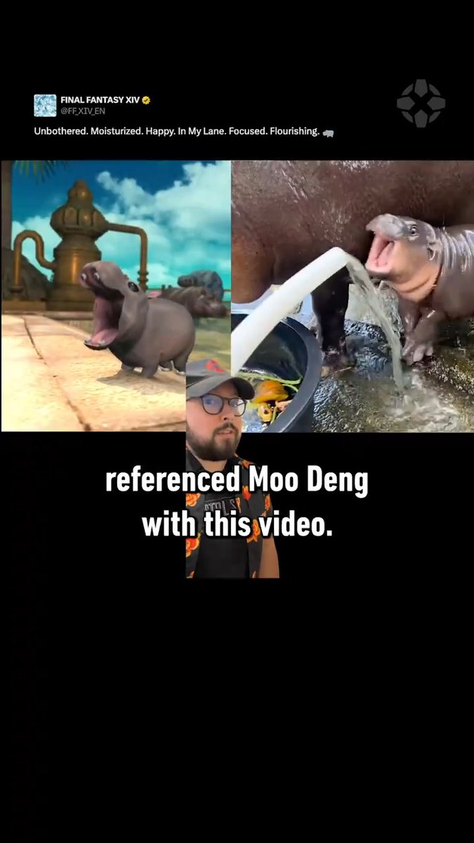 Moo Deng is officially influencing the economy in Final Fantasy XIV