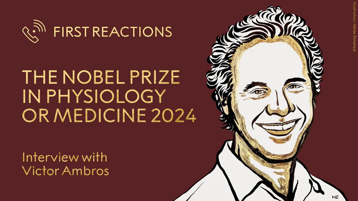 “Have you been getting calls from Sweden?” Victor Ambros’ son woke his up this morning with a surprising question. We speak to Ambros about his first reactions after being awarded the 2024 Nobel Prize in Physiology or Medicine.