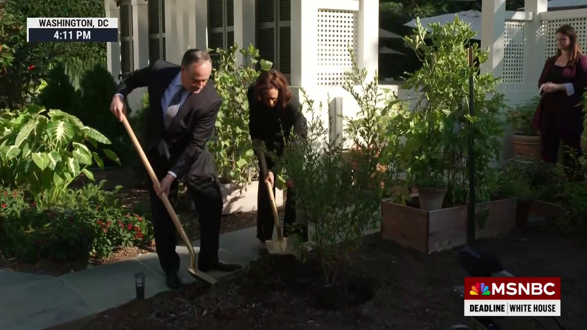 VP Kamala Harris and second gentleman Doug Emhoff plant the first fruit tree ever planted by a second family at their residence. Together, they plant a pomegranate tree to mark the one year anniversary of the Hamas terrorist attacks.