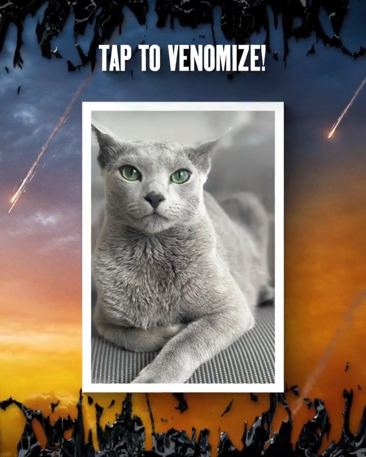 Like your pets…just with an extra bite. 🐱🖤 Venomize your furry friends at #VenomizeMyPet Powered by Getty Images and NVIDIA