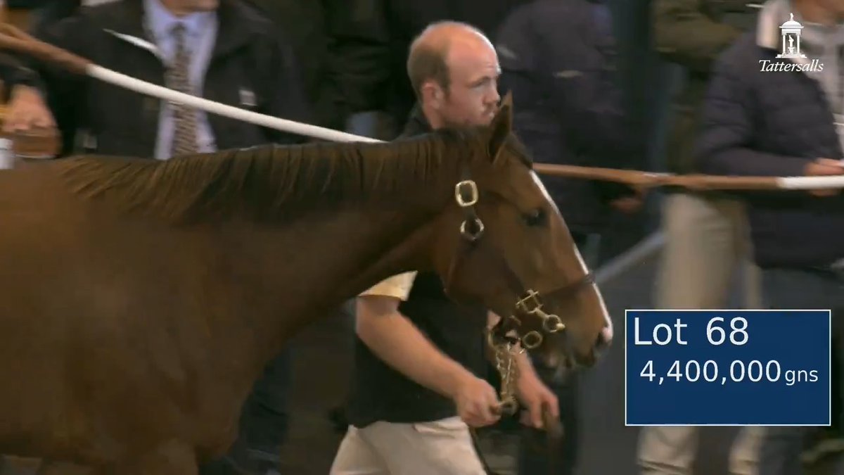Fireworks at #TattsOctober Book 1. Amo Racing outbids Mitsu Nakauchida at 4,400,000gns for Newsells Park Stud's Frankel filly out of the Gr.2 winner Aljazzi. The second highest price for a yearling ever at the sale.