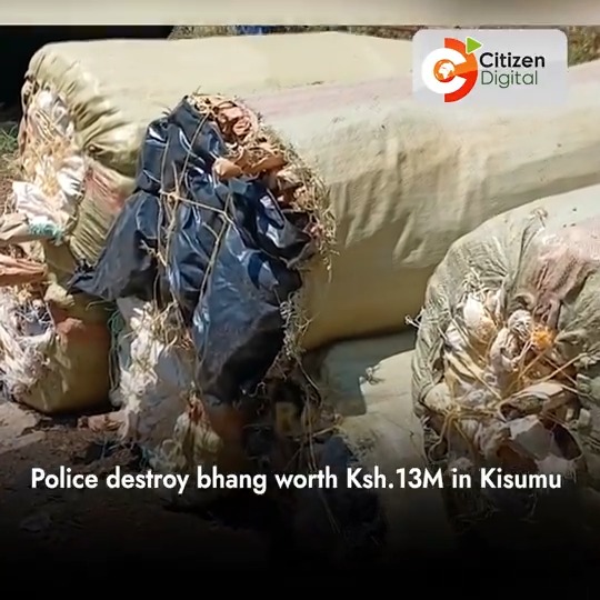 Police destroy bhang worth Ksh.13M in Kisumu