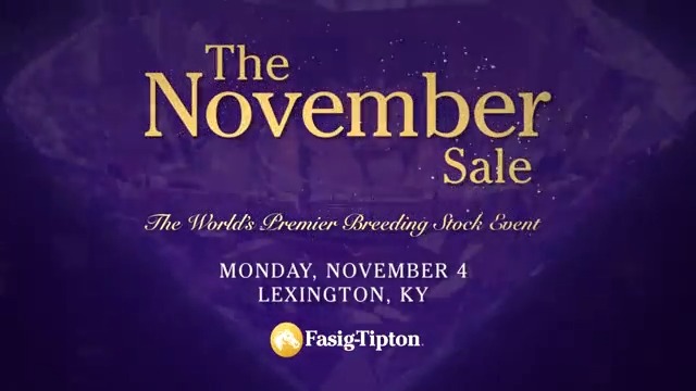 The world’s premier breeding stock event, The November Sale at Fasig-Tipton, offers more than 70 graded stakes winners or producers. Learn more ⬇️