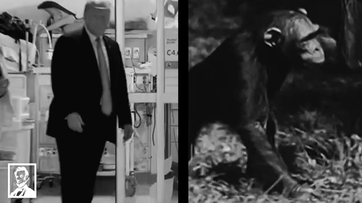 Lincoln Project would like to formally invite Donald J. Trump to take a cognitive test that isn’t for children under 5. Prove us, and all of America, wrong Donald.