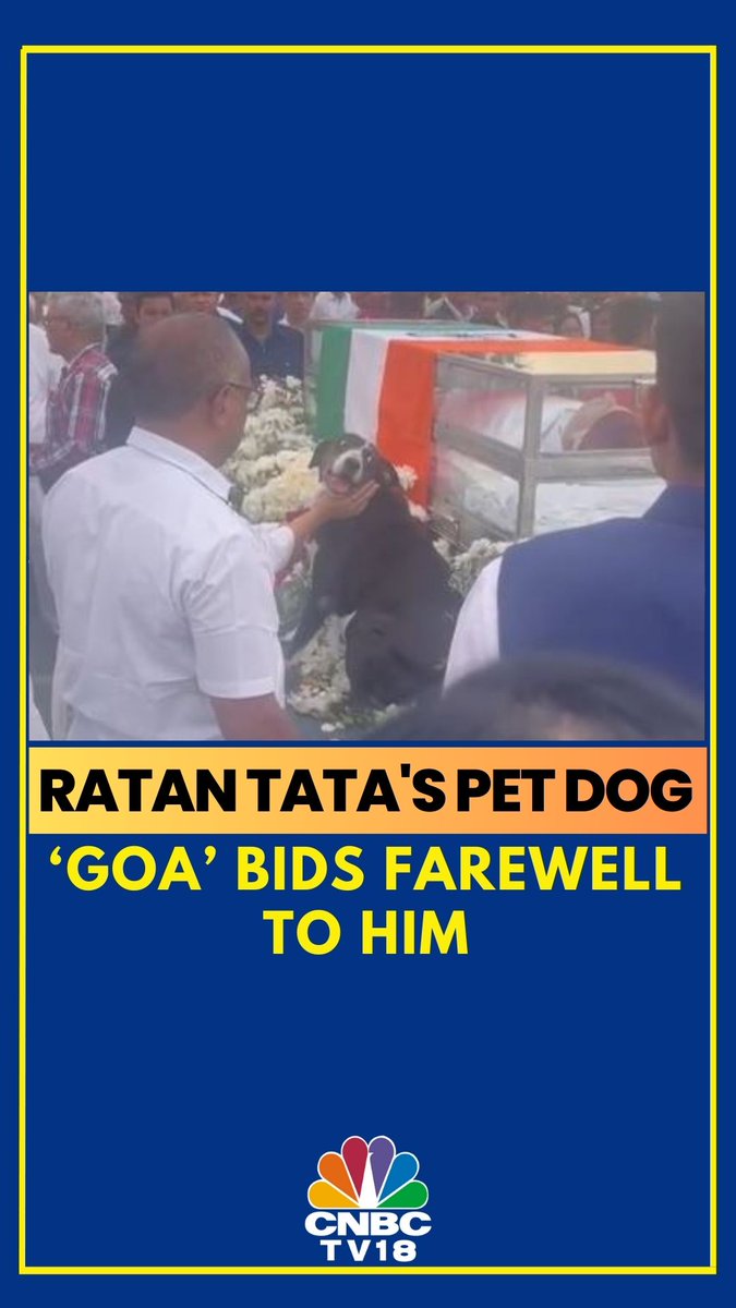 Goa's Goodbye to Ratan Tata 'Goa', a stray dog adopted by Ratan Tata and one of his closest companions, bids farewell to him. #WATCH #ratantata #goa #petdog #cnbctv18digital