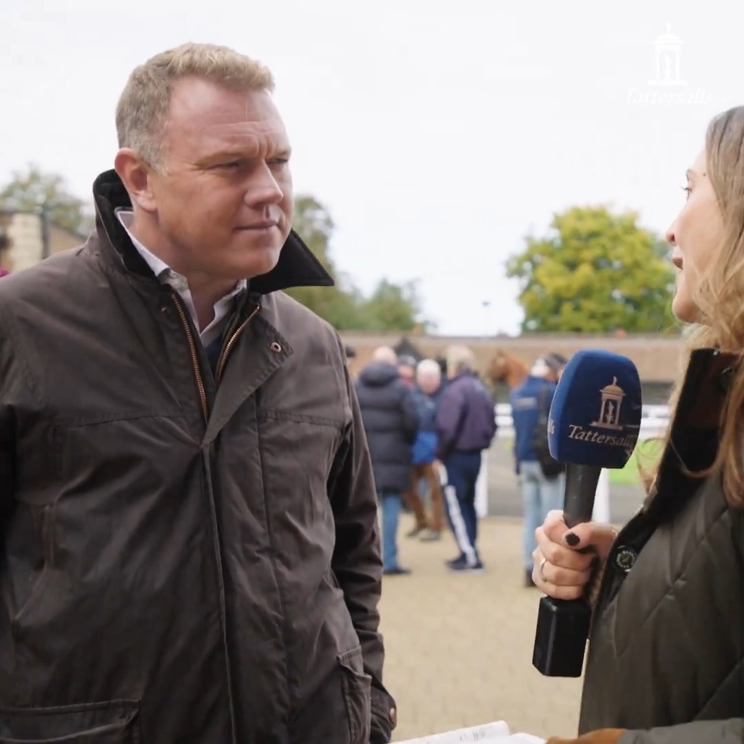 🤩 "I said 'Kia, you've been second in two Derbies. There's every chance this horse can take you one place more.'" Alex Elliott waxes lyrical about Amo Racing's 4.3m gns Wootton Bassett colt purchase, a record price for a yearling colt in Europe. #TattsOctober