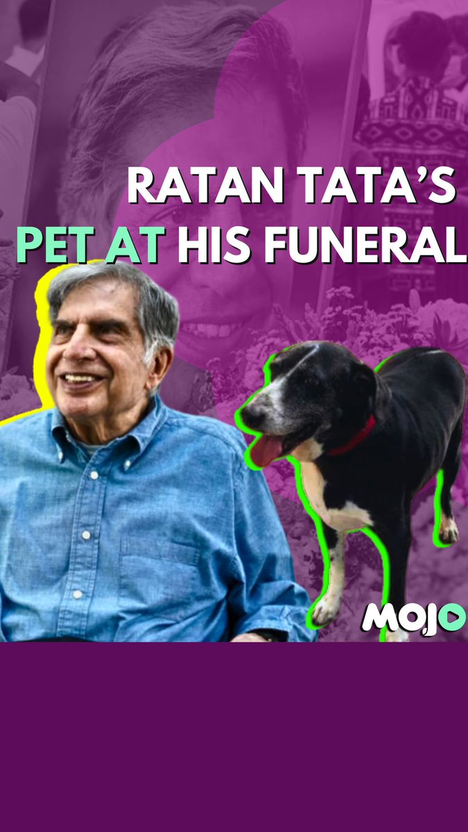 Among the zillions of mourners at funeral of #RatanTata his pet dog #Goa - a stray he took in- bidding a final farewell to a business leader whose love for animals was legendary and whose hotels had standing orders to not shoo away stray pets