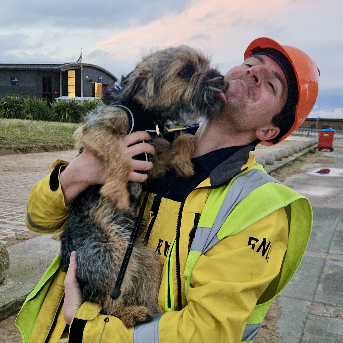 When your human comes home in full crew kit and you need a second to recognise him! Watch Morris' adorable reaction (we recommend sound up if you're able to for adorable pup squeals) 🥰 Is there anything better than this kind of welcome? 💛