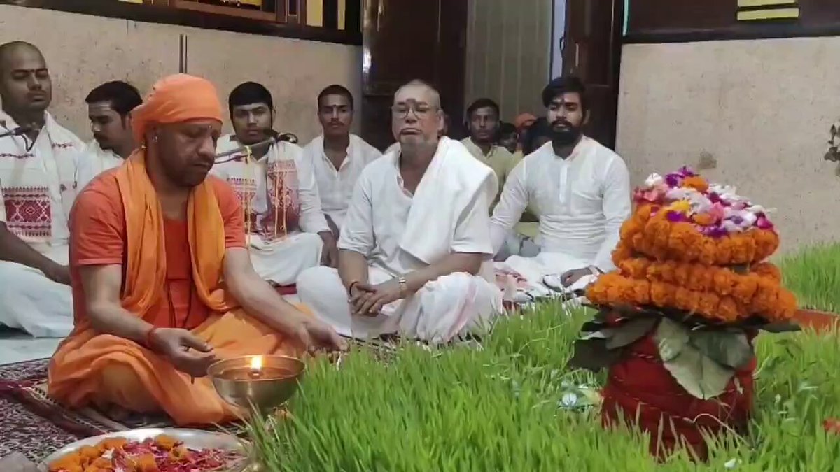 This is why 'they' hate Yogi. This is why we love Yogi.