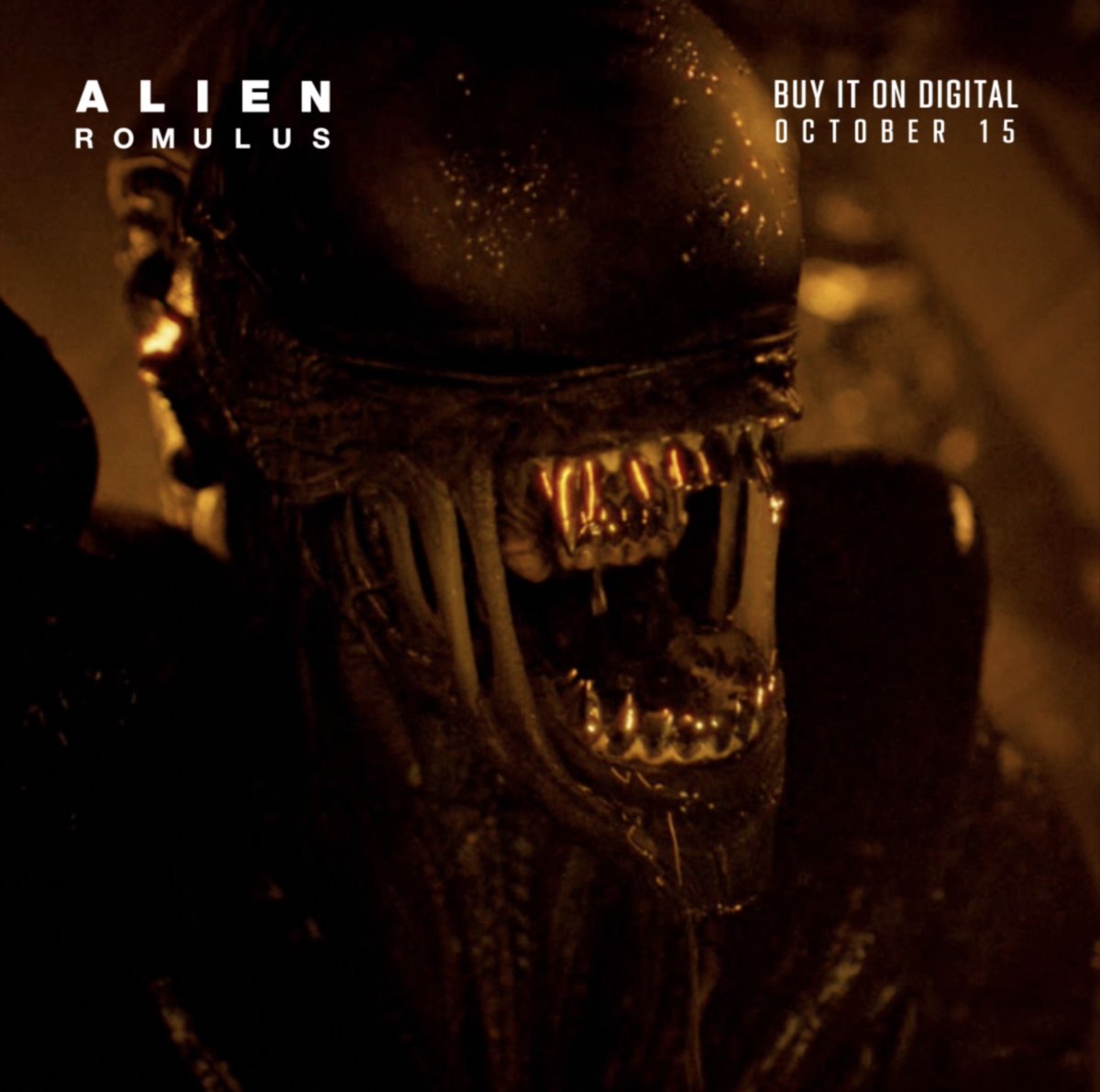 GIVEAWAY - Alien: Romulus arrives to digital retailers (Prime Video, Apple TV & Fandango at Home) on October 15, and we've got FIVE MOVIES ANYWHERE DIGITAL CODES to giveaway. Follow BD & RT this tweet to enter. US only. 5 winners selected 10/15.