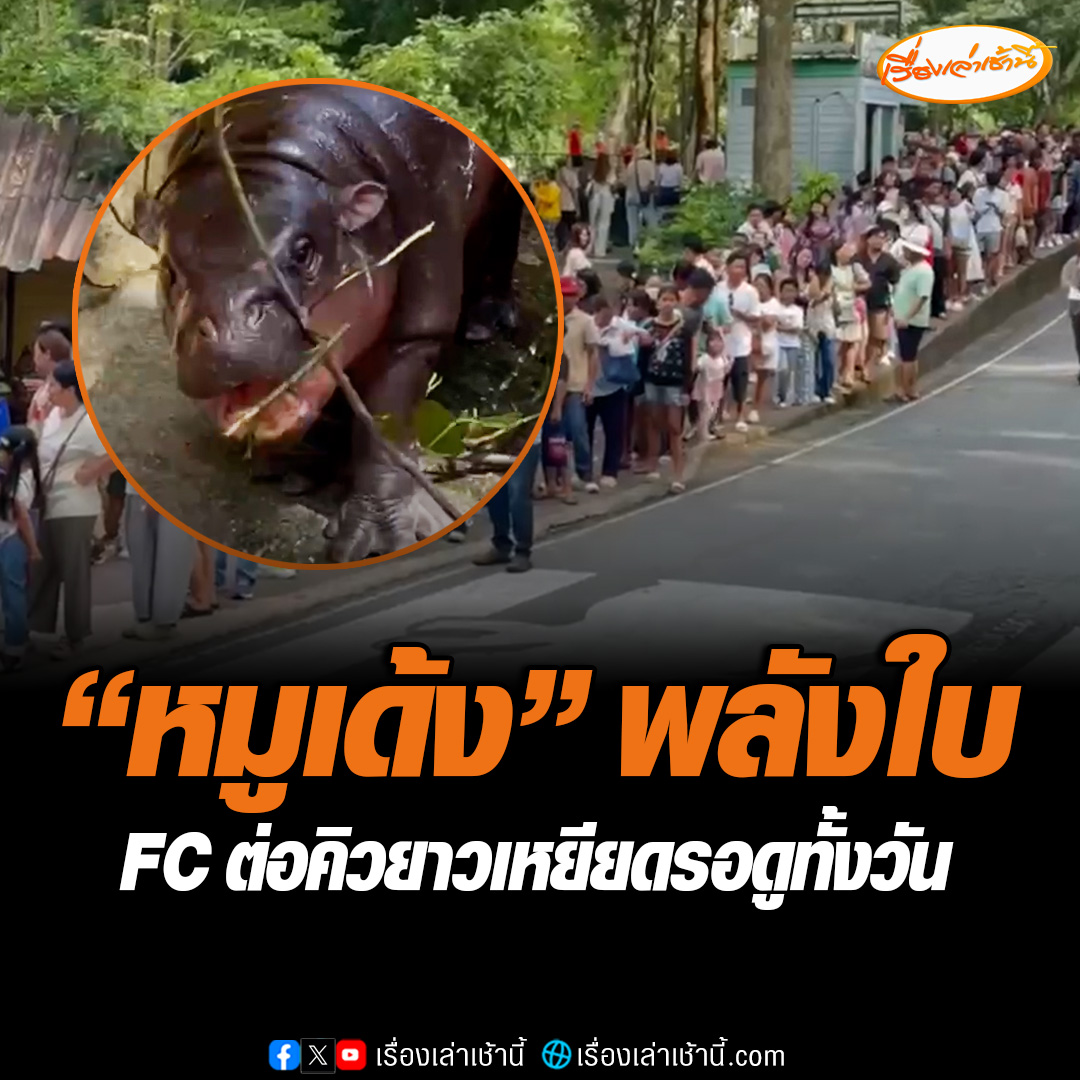 คนแน่นทั้งวัน! แฟนคลับต่อแถวยาวเหยียดรอดู “หมูเด้ง” รถติดตั้งแต่เช้ายันเย็น งานนี้ หมูเด้ง พลังใบ ไม่ทำให้ผิดหวัง เจอใบไม้เข้าไปดีดเด้งวิ่งไม่หยุด บางช่วงก็นอนหลับโชว์ด้วย #เรื่องเล่าเช้านี้ #ข่าวช่อง3 #หมูเด้ง