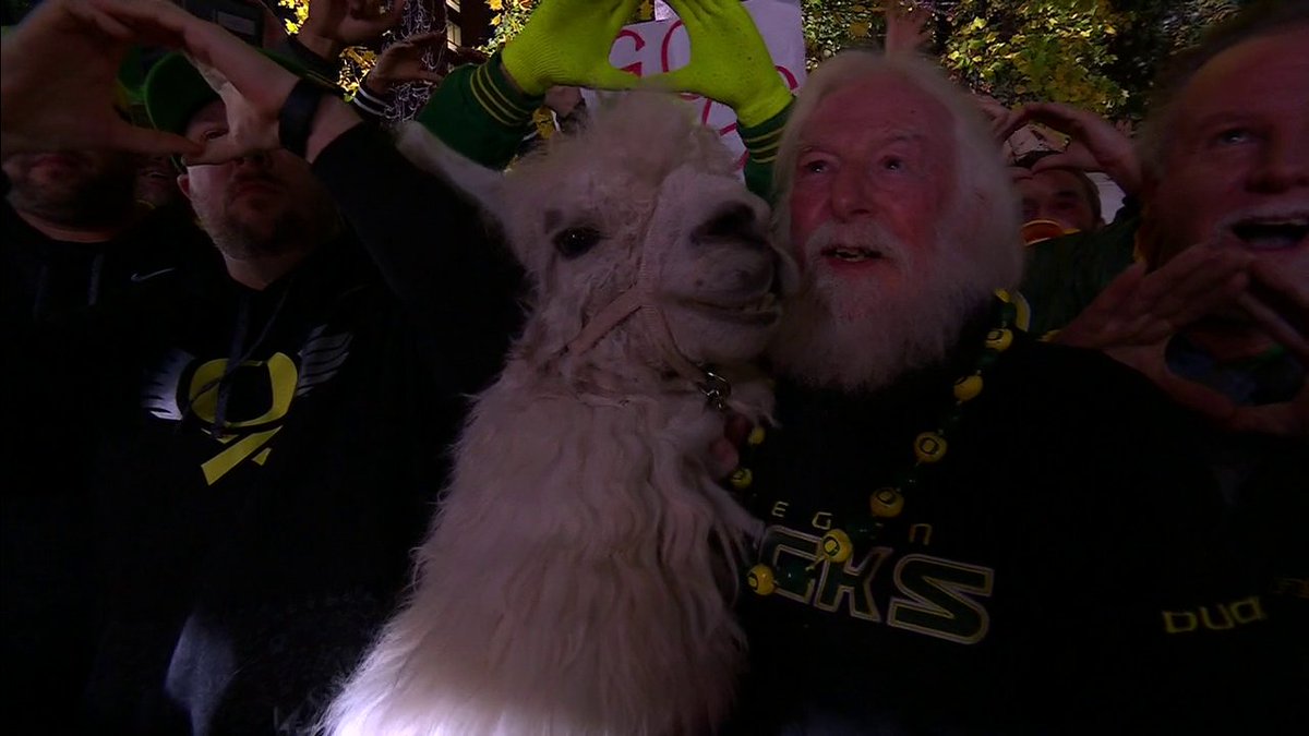 He brought a llama to College GameDay 😭
