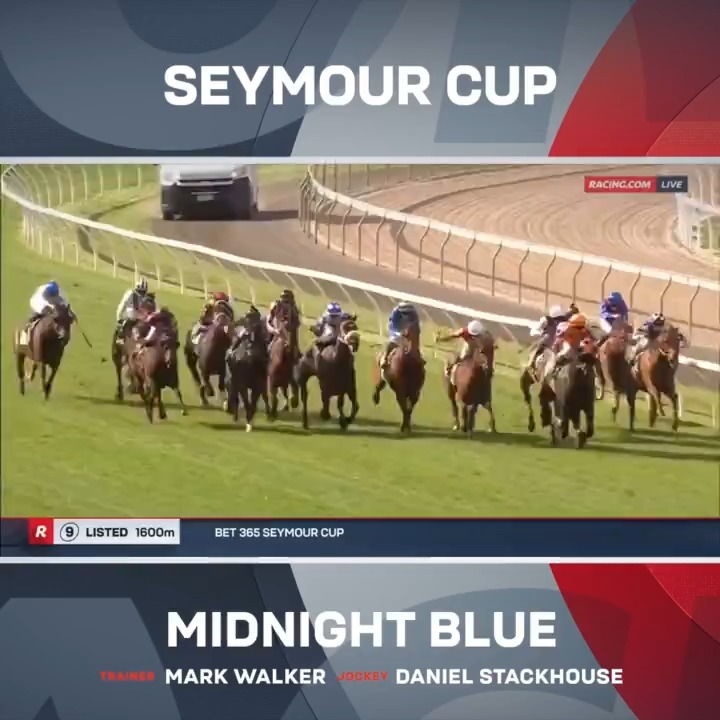 Mark Walker completes a fantastic training effort as Midnight Blue wins the Seymour Cup first up from a spell! 🏆 Daniel Stackhouse gave the Te Akau gelding a great steer 👏