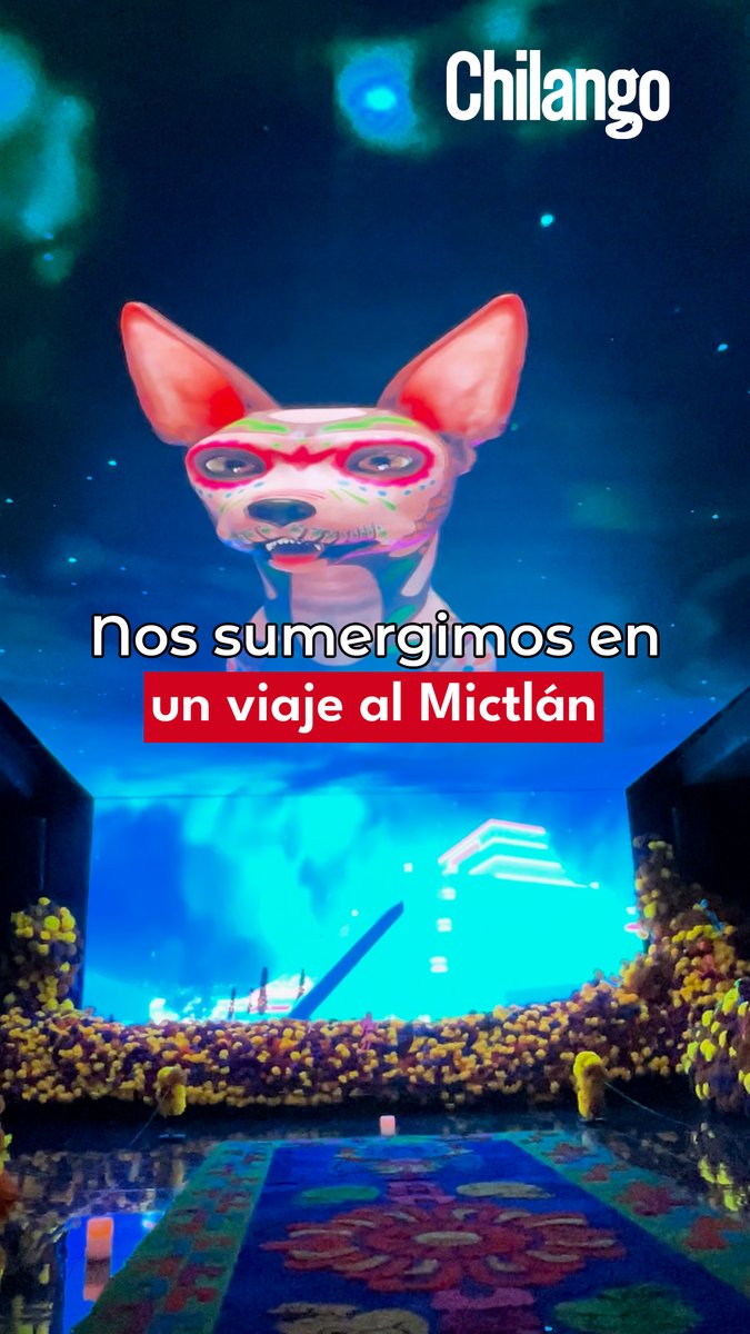 🕯️ Un Viaje al Mictlán: Una experiencia inmersiva del #DíadeMuertos en CDMX. ¡Está padrísima! 🎃