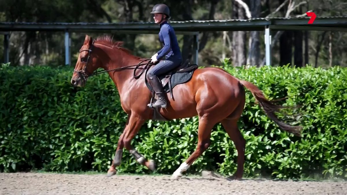 2021 Everest champion Nature Strip has embarked on a new chapter of his life with Kathy O'Hara and Charlie Duckworth. Lizzie Jelfs visited the iconic sprinter at Hawkesbury to see how he’s settling into his retirement. Charlie Duckworth Kathy O'Hara