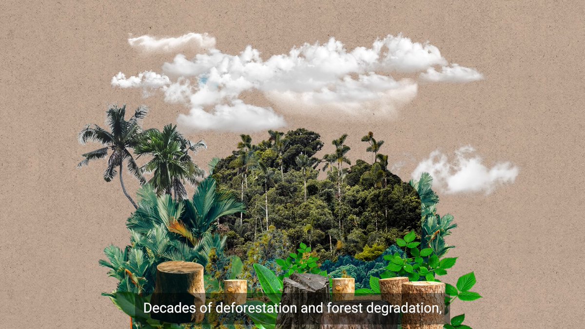What happens to the Amazon rainforest will impact you. 👇 Deforestation and climate-driven degradation threaten this essential ecosystem. If it continues, the vibrant Amazon could turn unrecognisable. RT to #ActForOurPlanet. #WWFUntangled #LivingPlanetReport #LPR2024