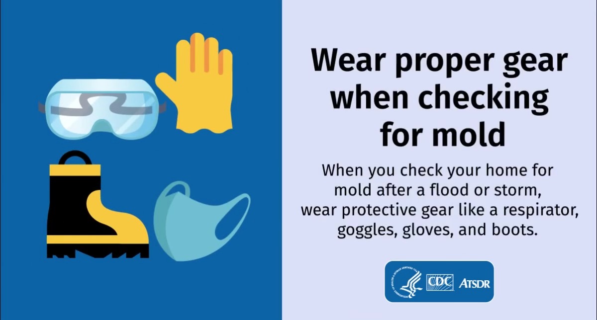 If your home has flooded and you couldn’t dry it out within 2 days, assume mold growth. Use this mold cleanup guide to reduce health risks: #Milton #Helene