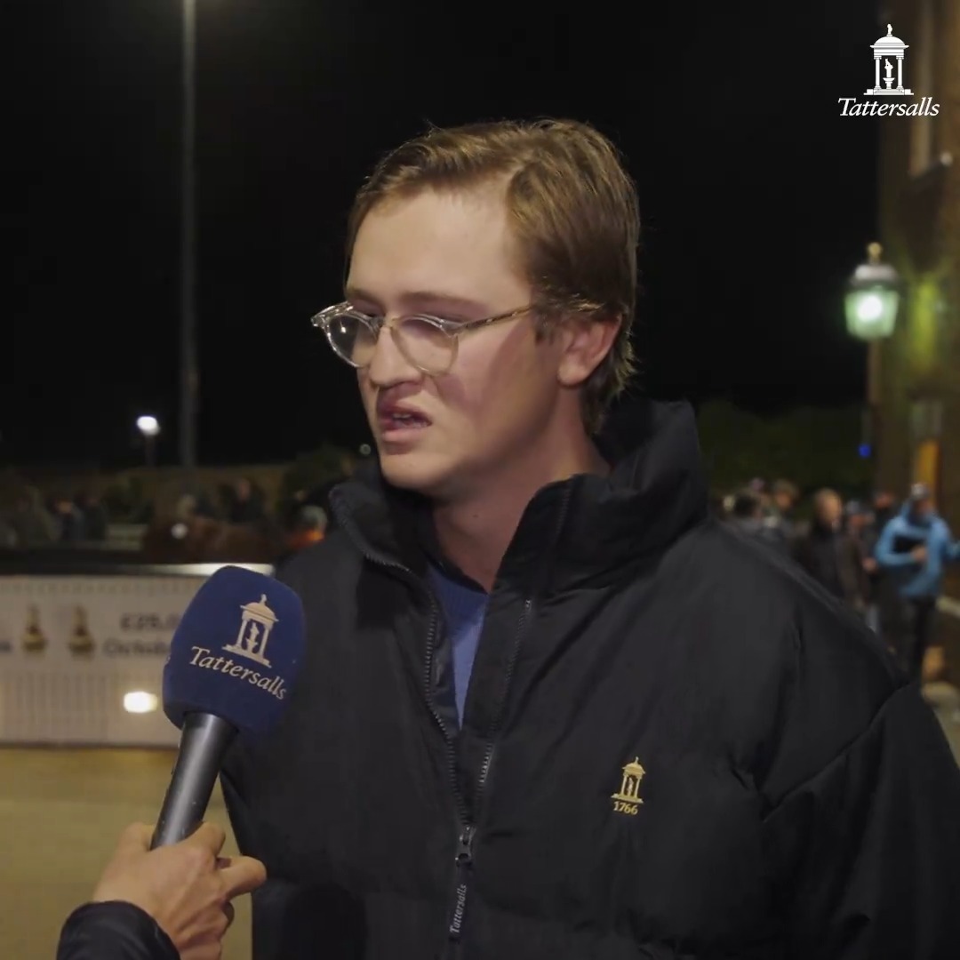 🗣️ "As soon as we laid eyes on her it was just her" Fernando's Horses is a happy man, buying Brian O'Rourke Bloodstock's Camelot filly from the family of Lillie Langtry and Minding for 270,000gns for Álvaro Odriozola's ODRIA Horses, heading to Joseph O'Brien. #TattsOctober