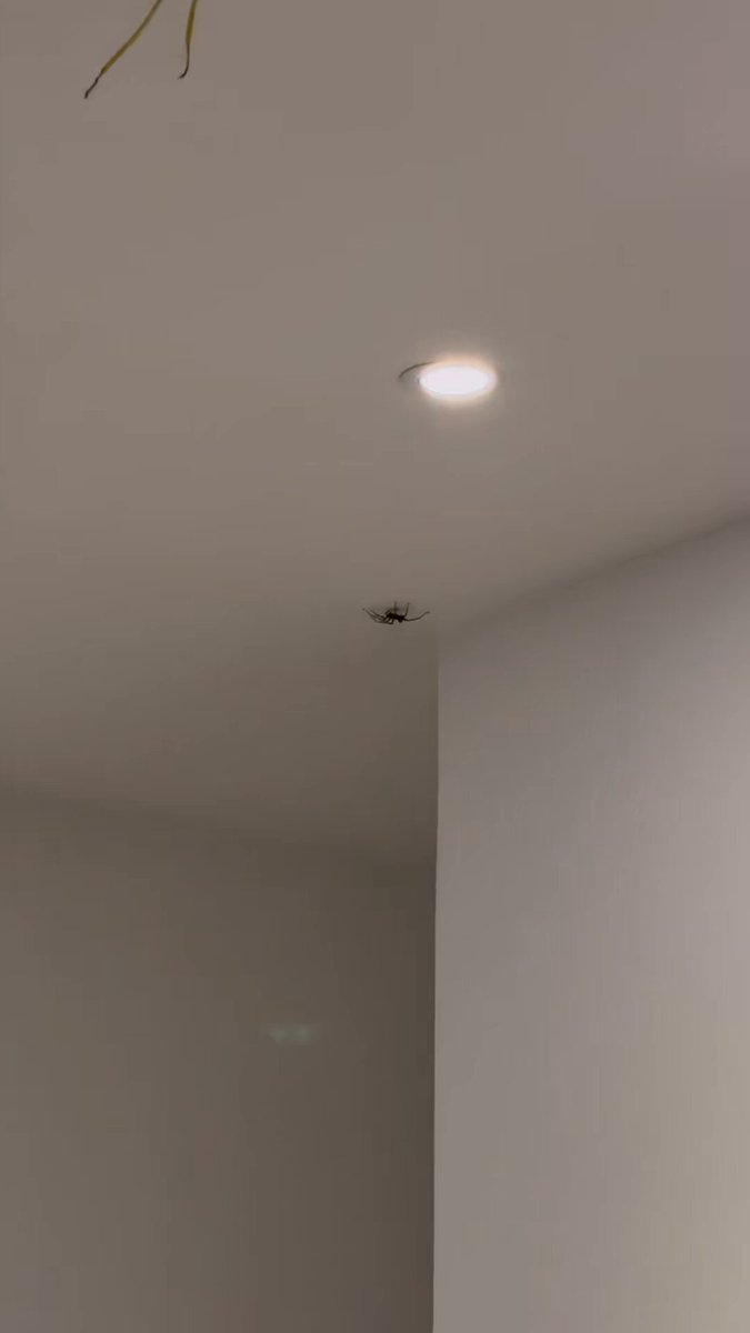 chego em casa e dou de cara com isso: