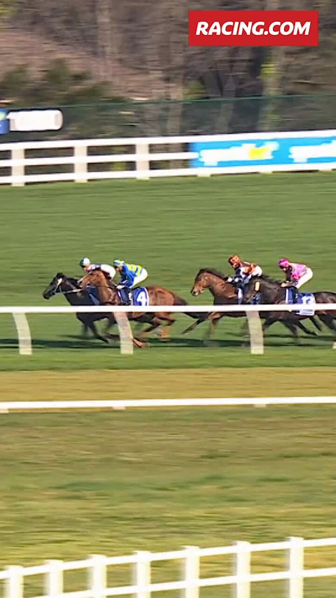 Is this the greatest mid-race move you have ever seen⁉️ Racing.com | #Antino