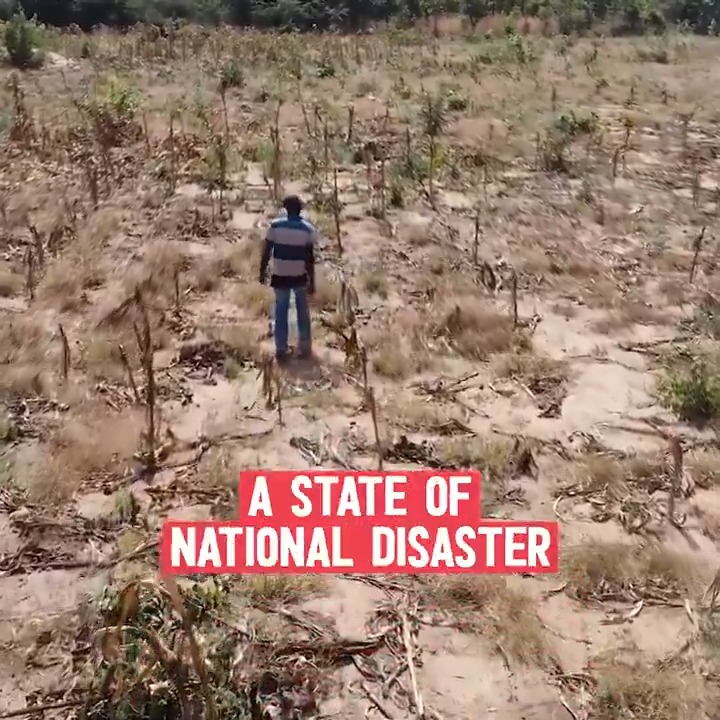 Over 27 million people across Southern Africa are facing hunger as a devastating drought sweeps through the region. World Food Programme is calling for urgent support to prevent this widespread drought from escalating into a full-scale humanitarian catastrophe.