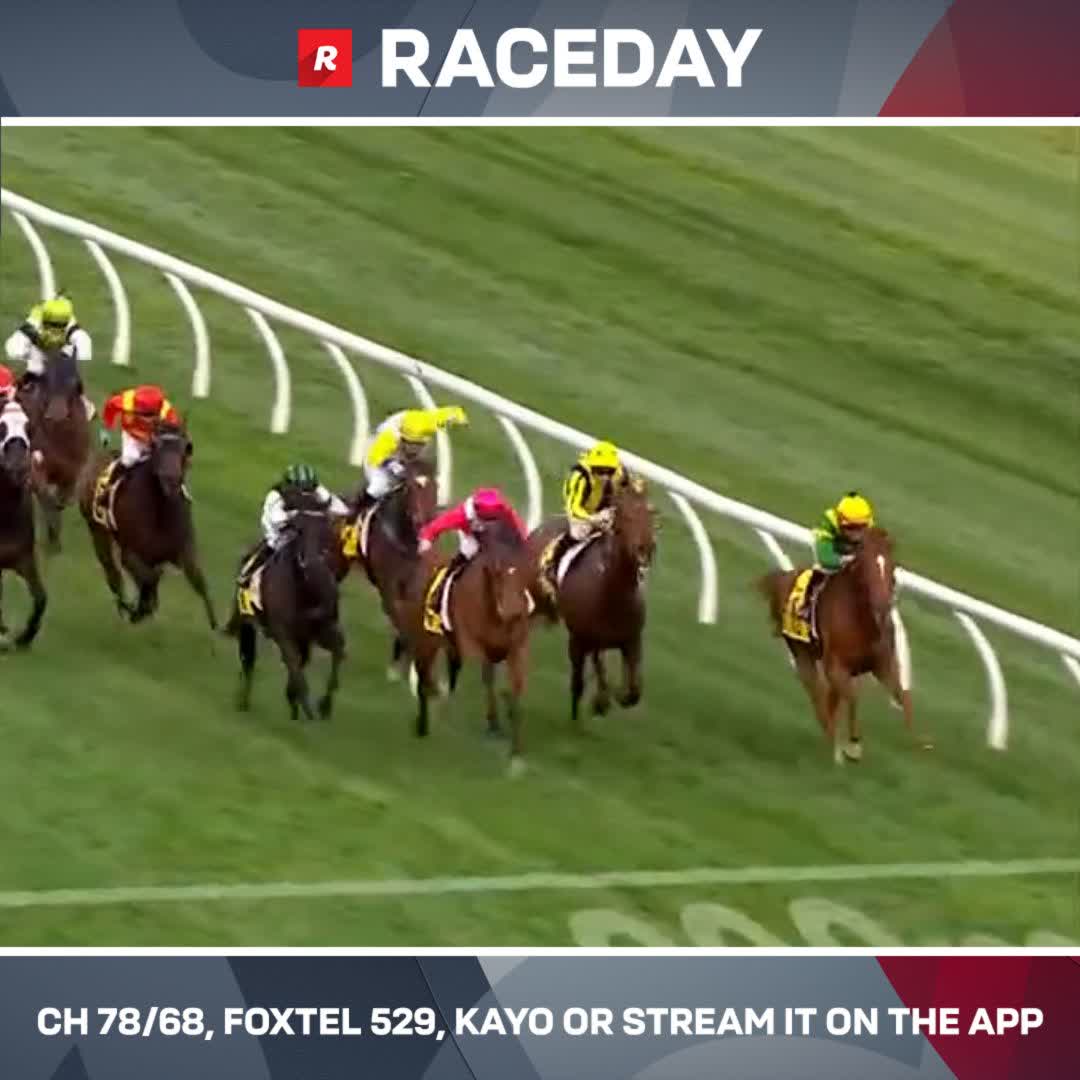 Poison Chalice ran a near perfect race first up ⚡️ An excellent return for the 5YO by Savabeel.