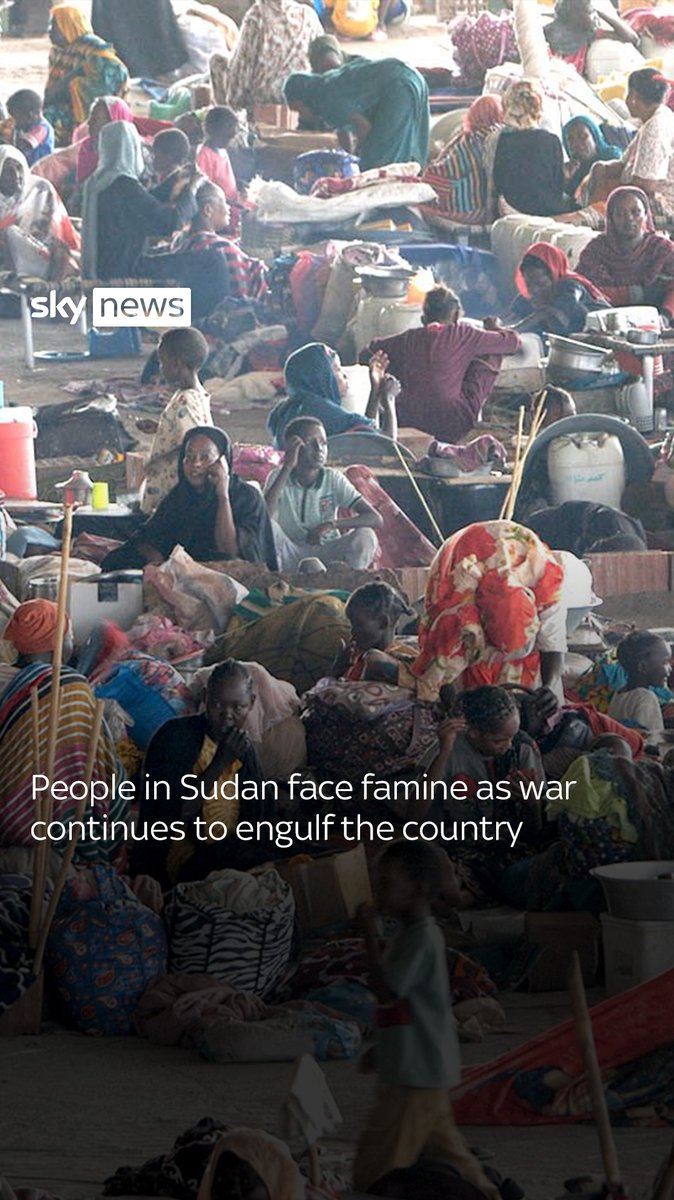 'We need help. We are asking for help.' 1.5m people are facing or are at risk of famine across Sudan, according to the UN World Food Programme. Africa correspondent Yousra Elbagir speaks to people in the country amid the ongoing war. Full story: