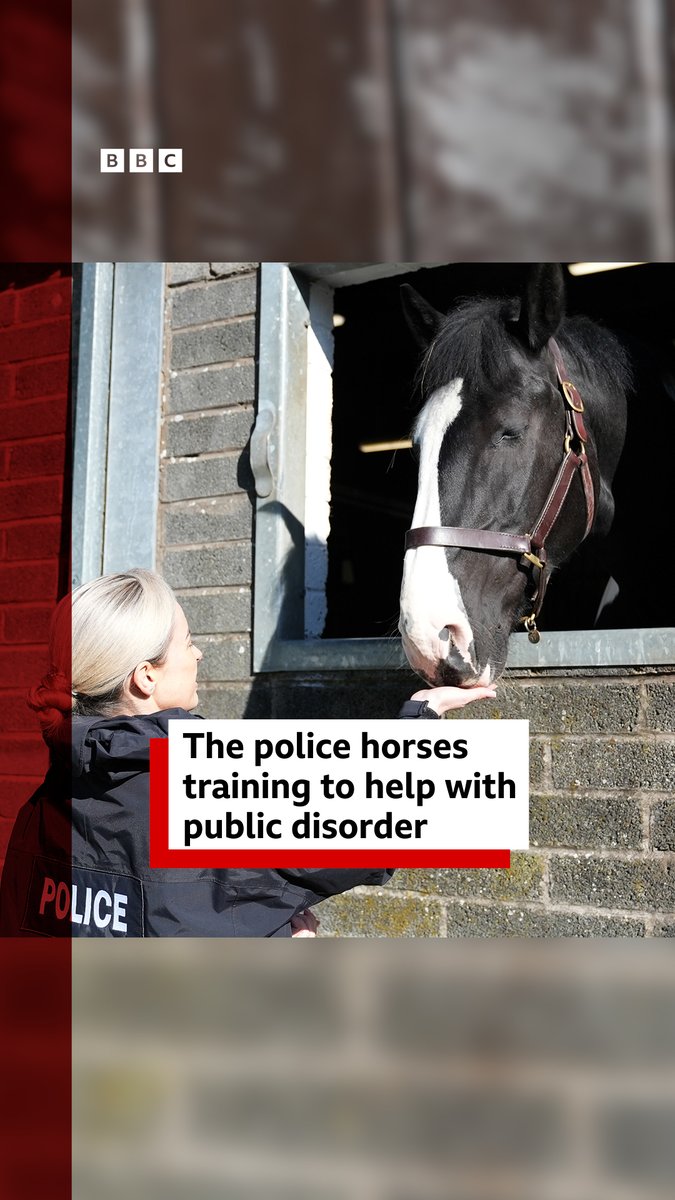 Meet the police horses training to help with public disorder More ➡️