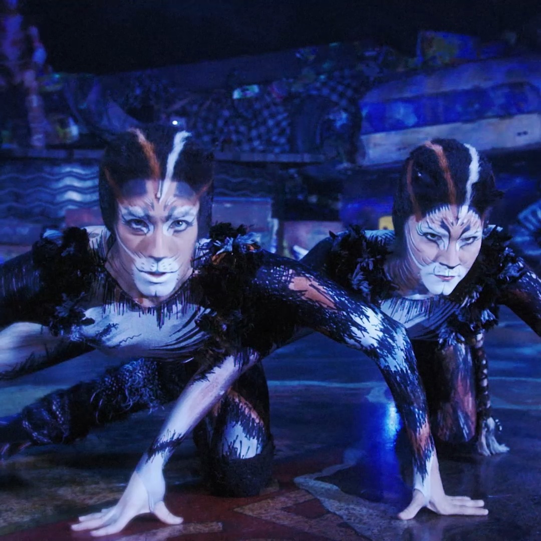 CATS returns to the Theatre Royal Sydney from June 2025 to celebrate its 40th Australian Anniversary! 🐱✨ Waitlist now for first access to tickets 🎫: #Cats #CatsMusical #CatsTheMusicalAU