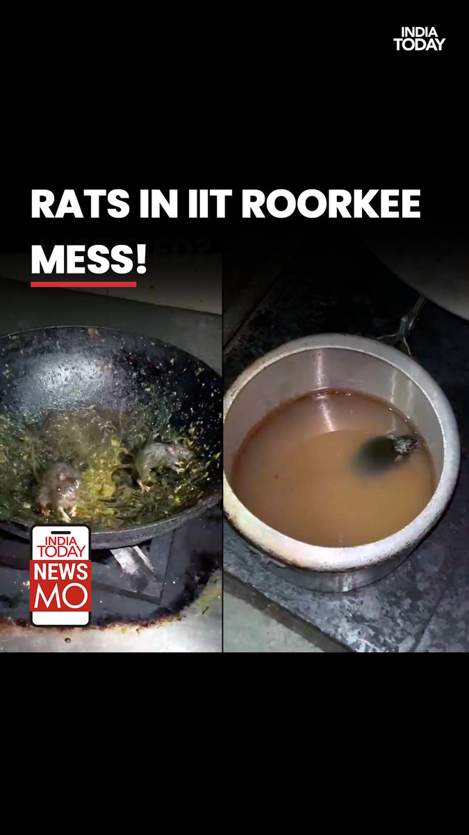 Rats were discovered in the mess kitchen of IIT Roorkee's Radha-Krishna Bhavan, crawling inside cooking pots and food containers. Outraged students protested, raising concerns about the poor hygiene and accusing the institute of serving contaminated food. #NewsMo #IITRoorkee