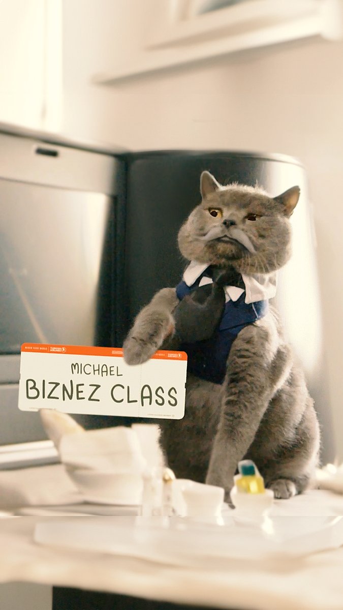 Meow, meow, meow, we welcome you. Choose Turkish Airlines for your pets to enjoy a safe and comfortable journey. Watch the full video of our furry friends' adventure in Turkish Airlines YouTube channel. #TurkishAirlines