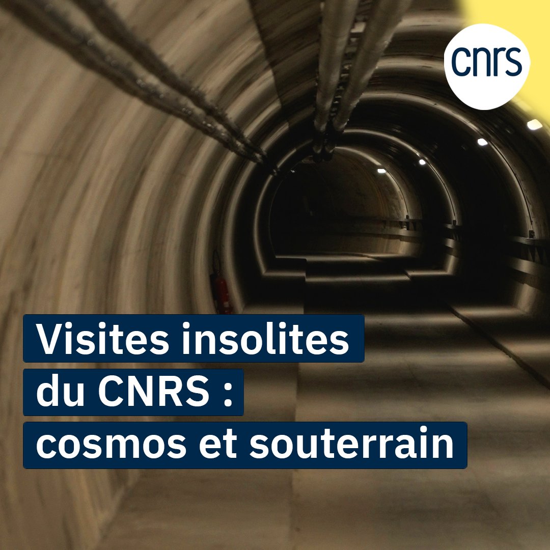 Retour en images sur 2 visites #CNRSinsolite proposées par le CNRS 🌍 dans les Bouches-du-Rhône pour cette édition 2024 de la Fête de la science (#FDS2024). Si vous avez participé à une visite dans l'un des 60 laboratoires en France, faites vos retours en commentaires 👇