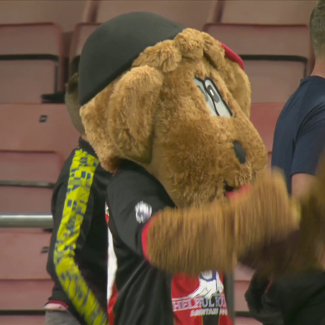 Cherry Bear is LOVING that Bournemouth win! 🍒🐻