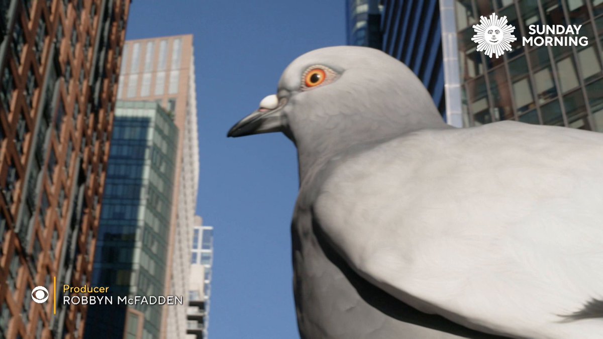Love them or hate them, pigeons are an iconic animal of New York City. "Sunday Morning" contributor Christian Cooper talks with artist Iván Argote, whose T. Rex-sized sculpture of a pigeon is now on display at New York City's High Line.