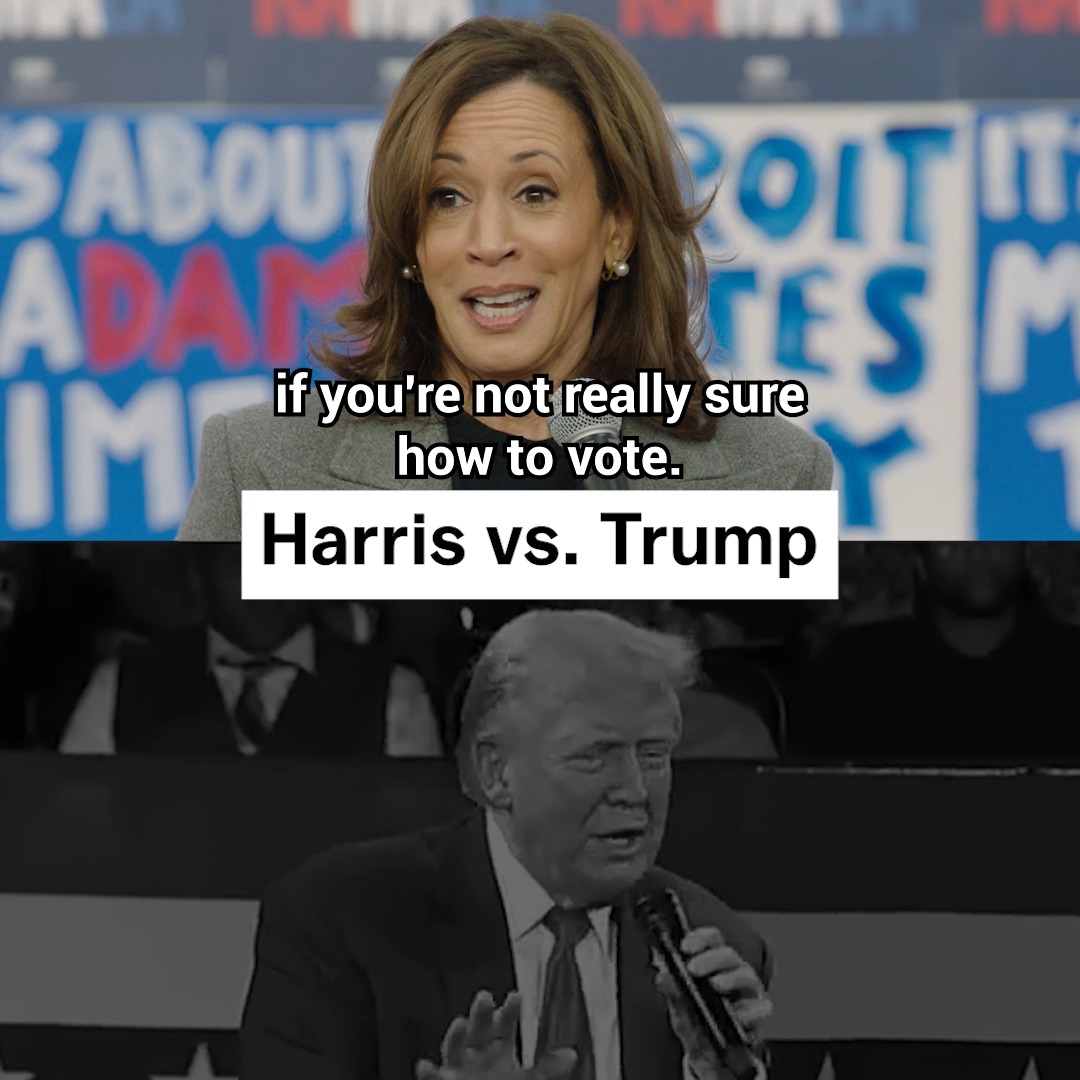 If you are not sure who to vote for, I invite you to watch Donald Trump’s rallies. He talks a lot about himself, fictional characters, and other nonsense. What he doesn’t talk about is you, and how to make your life better.
