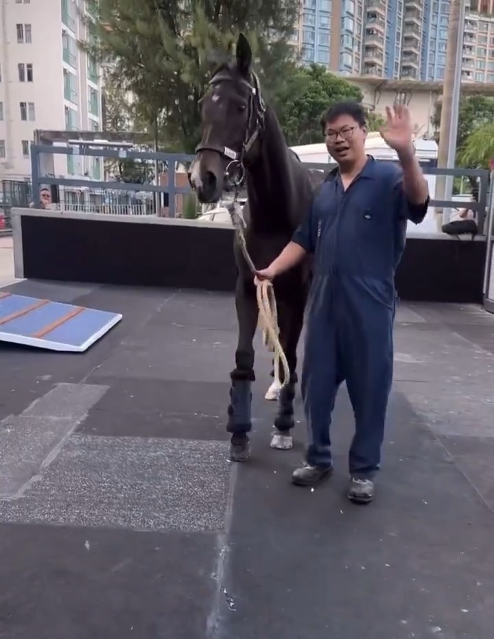 Bye, champ! 👋 After six years and 31 races, GOLDEN SIXTY leaves Hong Kong for retirement in Japan.