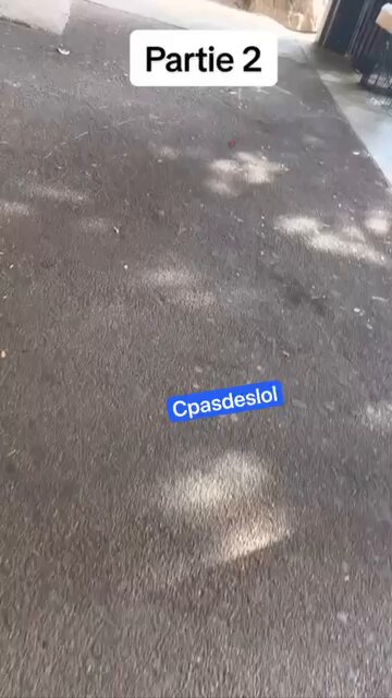 Marseille : malgré la présence quotidienne de la police dans le quartier de la Castellane pour lutter contre le trafic de drogue, les relations avec les habitants se détériorent de plus en plus, avec des affrontements qui se produisent presque chaque jour. (Témoins)