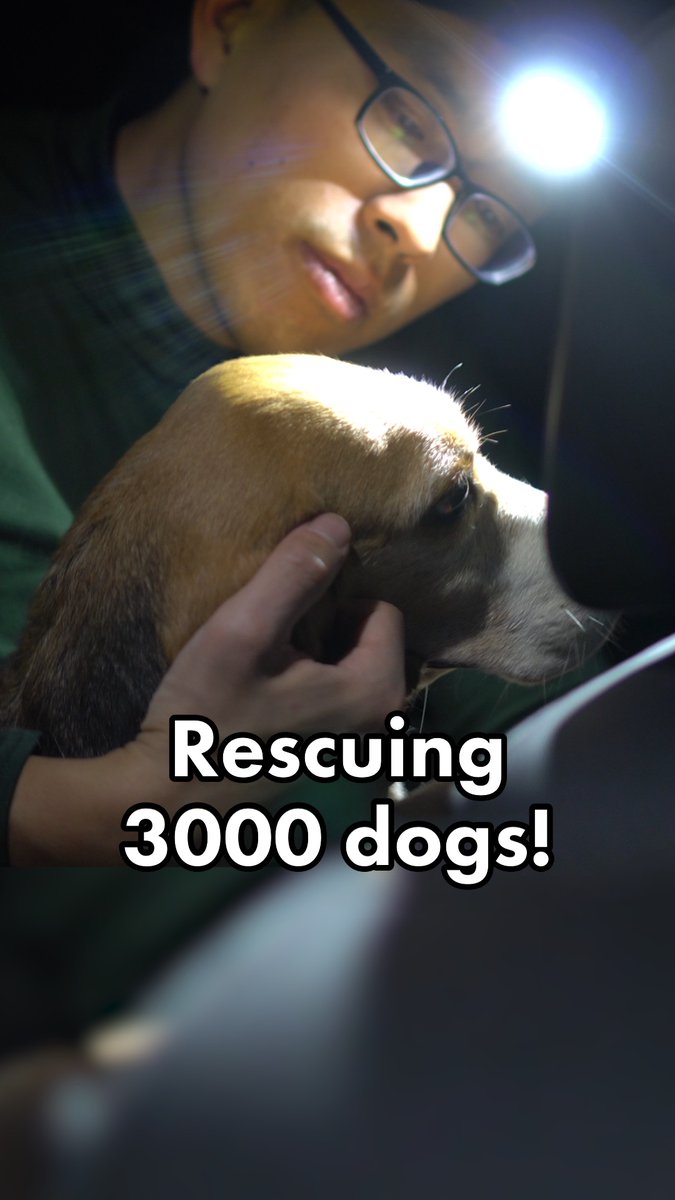 3000 lab beagles face torture and death. This week, we’ll have a chance to save them all – but we need your help. On Oct 23, we will present evidence of animal cruelty to a Dane County court, including whistleblower accounts of dogs being subjected to surgical mutilation without anesthesia or painkillers. Our legal case is strong, but the biomedical industry in the county is a political giant. We need to show the political system in Dane County that the people in this nation and world stand with the dogs. Make a post on October 23 on social media and tag Governor Tony Evers of Wisconsin, and ask him to #ProtectTheDogs.